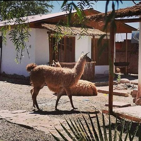 Cabanas Voyage Atacama San Pedro De Atacama Esterno foto