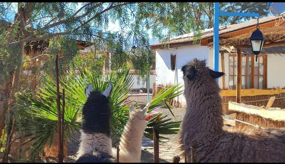 Cabanas Voyage Atacama San Pedro De Atacama Esterno foto