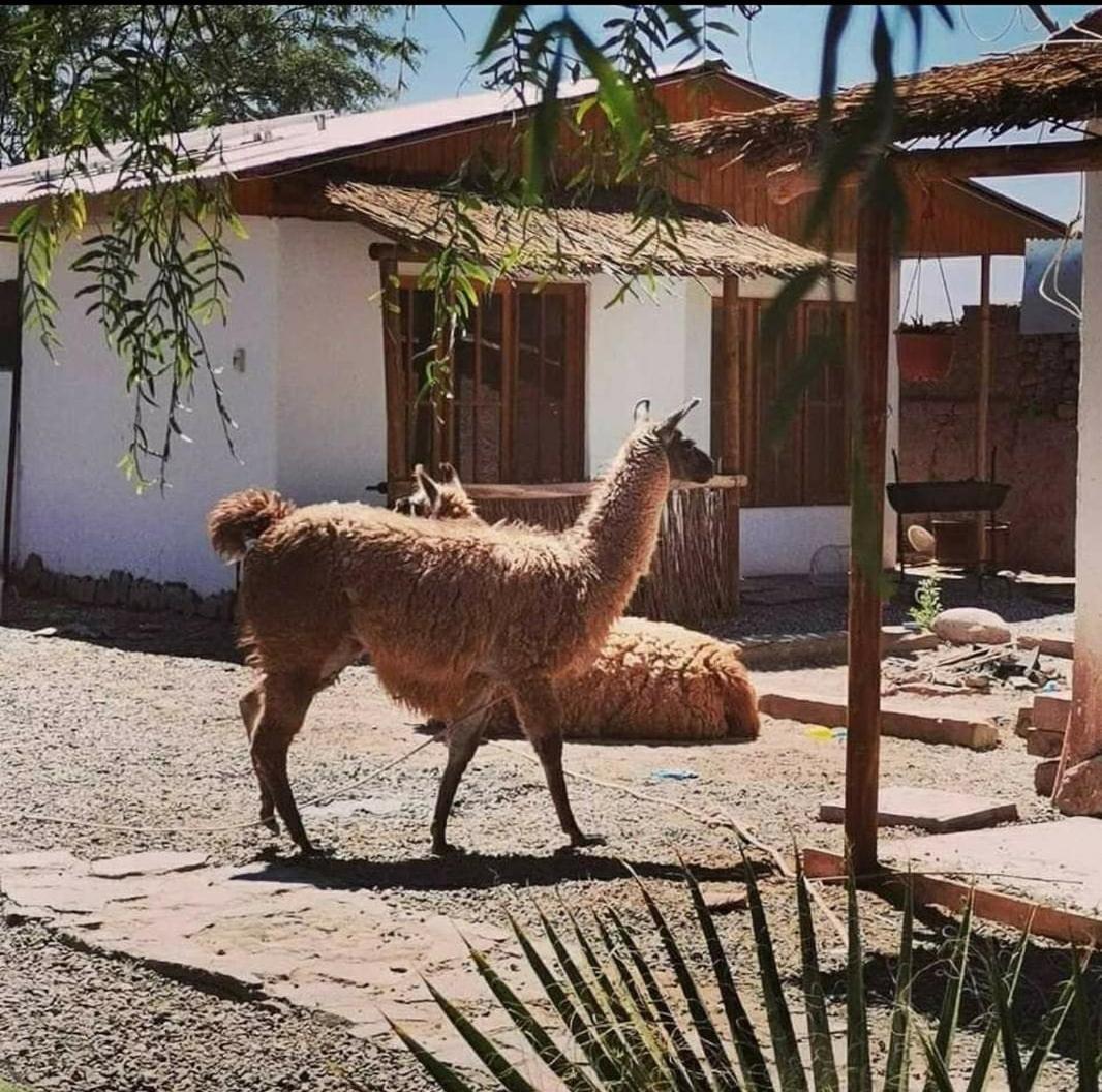 Cabanas Voyage Atacama San Pedro De Atacama Esterno foto
