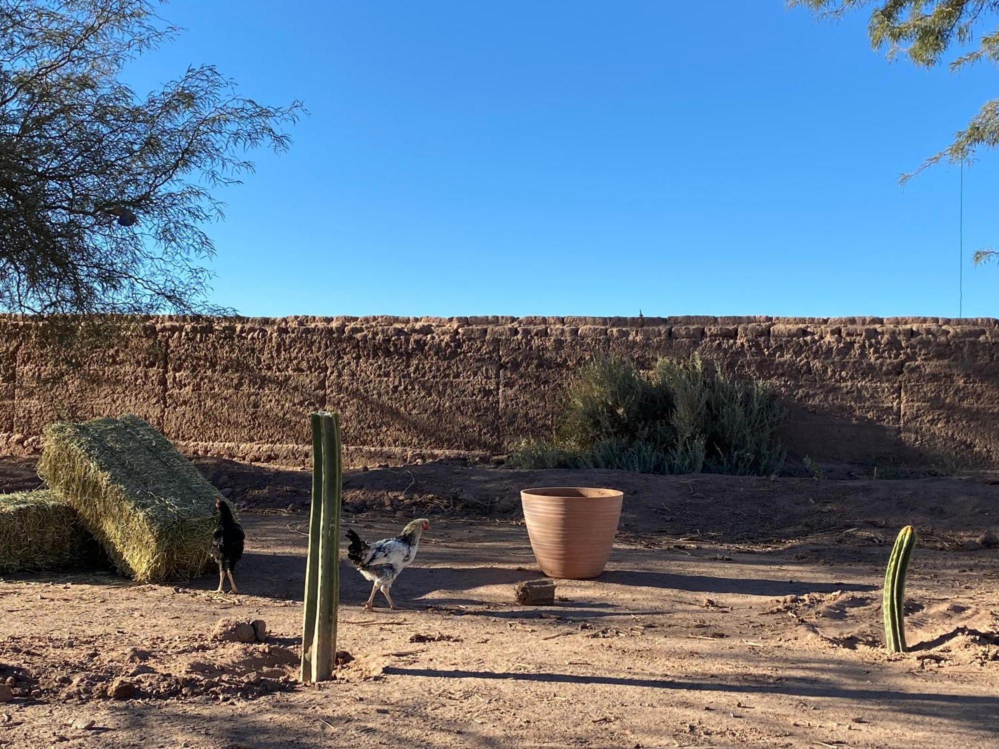 Cabanas Voyage Atacama San Pedro De Atacama Esterno foto