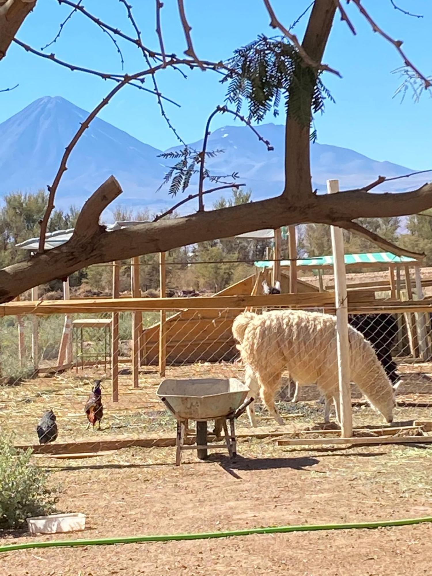 Cabanas Voyage Atacama San Pedro De Atacama Esterno foto